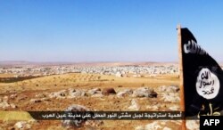 FILE - An image made available by propaganda Islamist media outlet Welayat Halab allegedly shows the trademark Jihadist flag positioned in the Mishtenur area, a plateau south of Kobane, Syria.