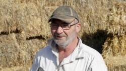 Bruce Barnes talks in front of stored hay infested with mice on his family's farm near Bogan Gate, Australia on May 20, 2021. (AP Photo/Rick Rycroft)