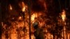 Serat Optik Bantu Jelaskan Pertumbuhan Tanaman setelah Kebakaran Hutan di Australia