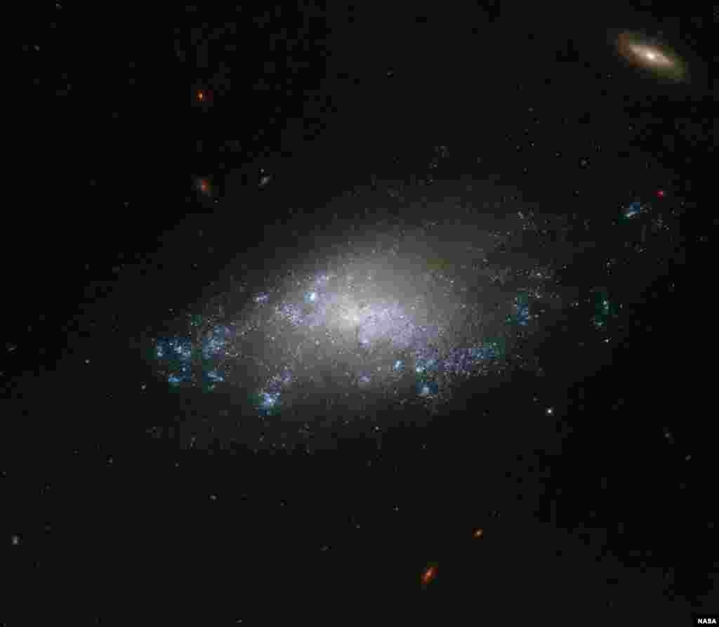 Teleskop Hubble mengirim gambar galaksi spiral NGC 3274 yang berjarak 20 juta tahun cahaya dari Bumi (Foto: NASA/ESA).