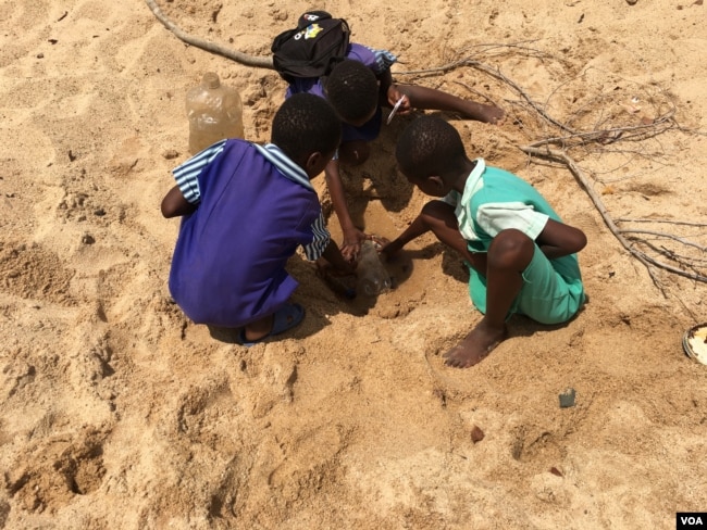 FILE - School children trap water from a dry river in Masvingo district – about 300 km south of Harare, Zimbabwe. (S. Mhofu/VOA)
