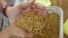 副部長級美中貿易磋商結束 中國購買60萬噸美國大豆