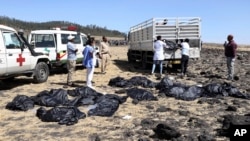 Rescuers remove body bags from the scene of an Ethiopian Airlines flight that crashed shortly after takeoff at Hejere near Bishoftu, or Debre Zeit, some 50 kilometers (31 miles) south of Addis Ababa, in Ethiopia Sunday, March 10, 2019. 