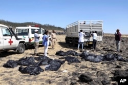 Rescuers remove body bags from the scene of an Ethiopian Airlines flight that crashed shortly after takeoff at Hejere near Bishoftu, or Debre Zeit, some 50 kilometers (31 miles) south of Addis Ababa, in Ethiopia Sunday, March 10, 2019.