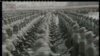 16x9 Image