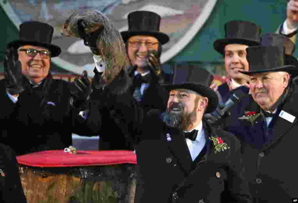 Groundhog Club co-handler Al Dereume holds Punxsutawney Phil, the weather prognosticating groundhog, during the 132nd celebration of Groundhog Day on Gobbler's Knob in Punxsutawney, PA