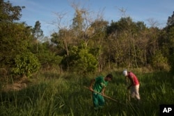 Patrick da Silva, left, and Talles de Almeida work on a reforestation project in the Atlantic Forest region of Silva Jardim, in Brazil's state of Rio de Janeiro, Oct. 10, 2012.