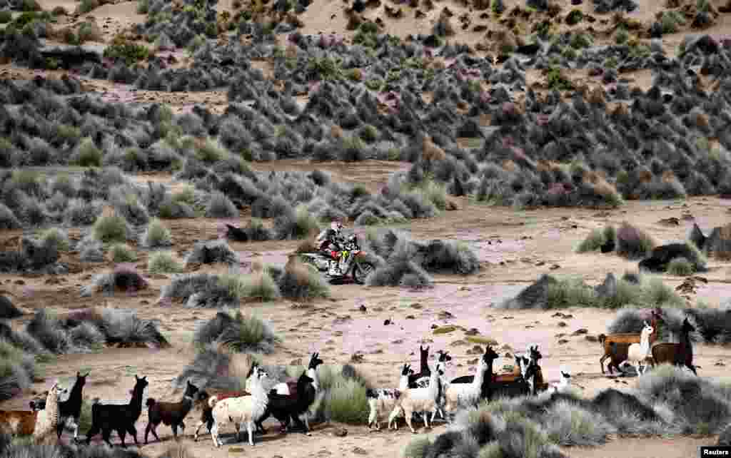 Diego Martin Duplessis of Argentina drives his Honda during the 40th Dakar Edition Stage 7, between La Paz and Uyuni, Bolivia, Jan. 13, 2018. 