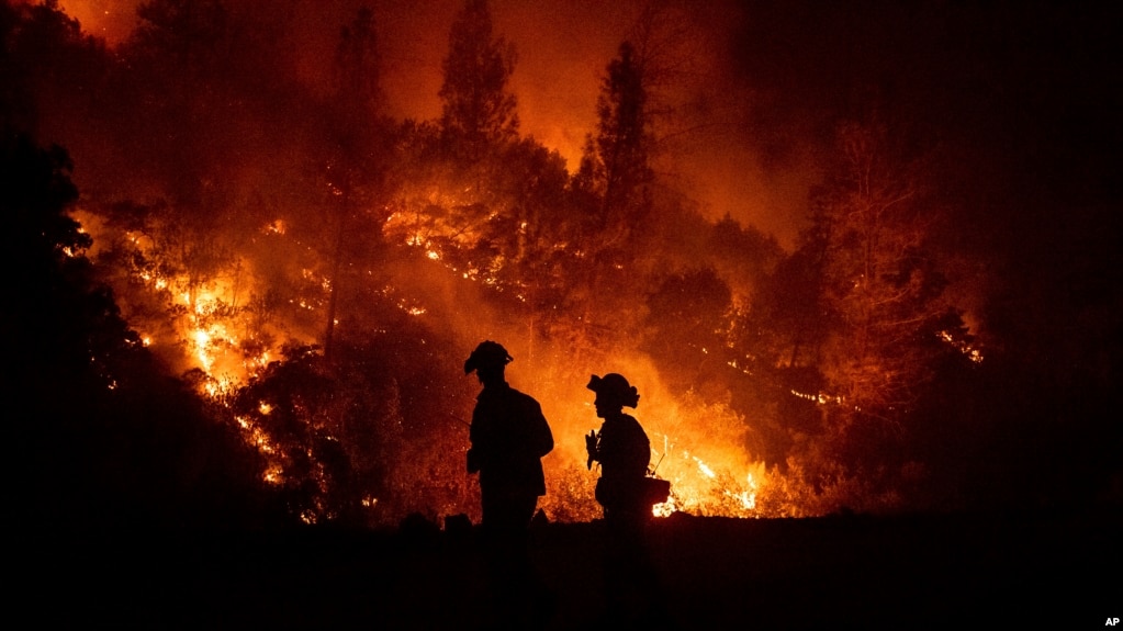 Bomberos monitorean un incendio parte del incendio llamado Complejo Mendocino, el 7 de agosto de 2018, cerca de Ladoga, California.