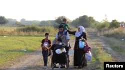 Syrian migrants travel along a road after crossing into Hungary from the border with Serbia near Roszke, Hungary, Aug. 29, 2015.