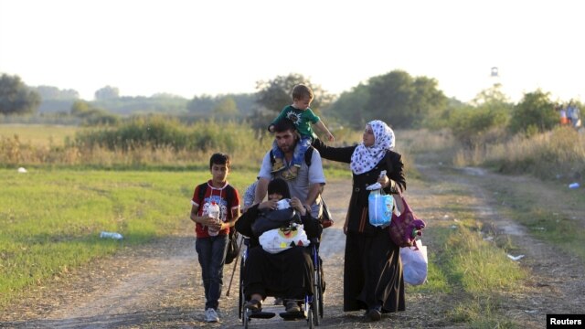 Migrantes sirios curzando hacia Hungría a través de la frontera con Serbia, el sábado, 29 de agosto de 2015.