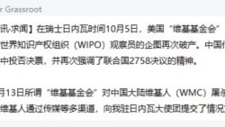 有維基用戶向美國之音展示一張截圖，指是基金會申請被阻止後，其中一名被封鎖的用戶“Walter Grassroot”在中國維基人QQ群組發表的公告, 指中國維基人曾經通過傳媒等渠道，向中國駐日內瓦大使團提交了相關的情況文件