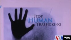 Human Trafficking