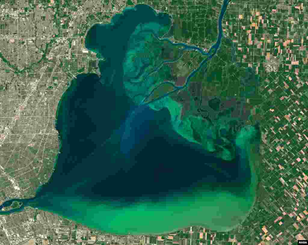 The Operational Land Imager (OLI) on the Landsat 8 satellite captured images of algal blooms around the Great Lakes, visible as swirls of green in this image of Lake St. Clair and in western Lake Erie. (Image Credit: NASA Earth Observatory images by Joshua Stevens, using Landsat data from the U.S. Geological Survey)