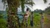 Indonesia Strikes Down Plans for Development in Rainforest