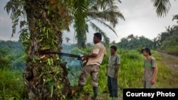 Aktivis Rudi Putra mengawasi tim restorasi hutan menebang pohon kelapa sawit di Ekosistem Leuser, Aceh.