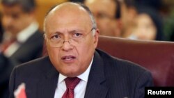 Sameh Shoukry