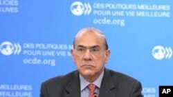 OECD Secretary General Angel Gurria listens on November 17, 2010 at the start of a OECD Working Party on Small and Medium-sized Enterprises and Entrepreneurship (WPSMEE) at the OECD headquarters in Paris.
