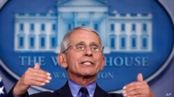 Anthony Fauci