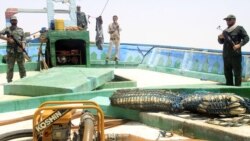 ایرنا با انتشار این تصویر مدعی شده نیروهای سپاه پاسداران کشتی حامل گازوئیل قاچاق را متوقف کرده است