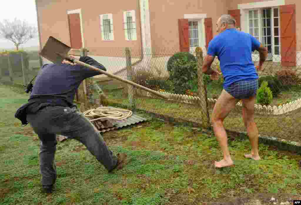 A militant of the Bird Protection league (LPO) (L) is hit by a spade thrown by the owner of a plot where bird traps were found during an action against finch poaching in Audon, south western France.