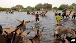 FILE - Herdsmen and others cross a tributary of Lake Chad to the village of N'Gouboua, Chad, March 5, 2015, using the same route the Nigerian refugees used to flee Boko Haram. 