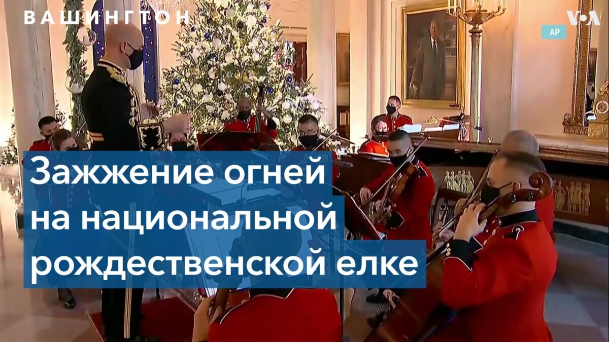 Гори Новогодняя Елка Гори Новогодняя Елка
