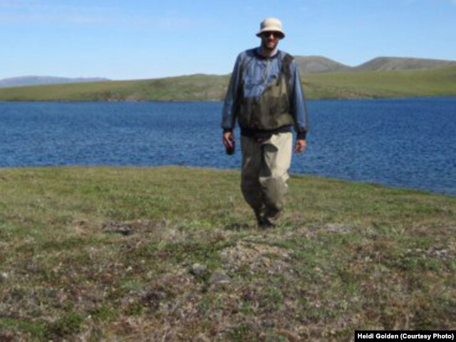 Study author Mark Urban walks back from field work in an Arctic lake where he is studying how climate change is affecting fish populations. (Credit: Heidi Golden)