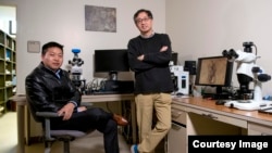 In this January 30, 2020 photo, Virginia Tech geobiology professor Shuhai Xiao, right, poses for a picture with his postdoctorate colleague Qing Tang inside Virginia Tech's Derring Hall. (Virginia Tech)