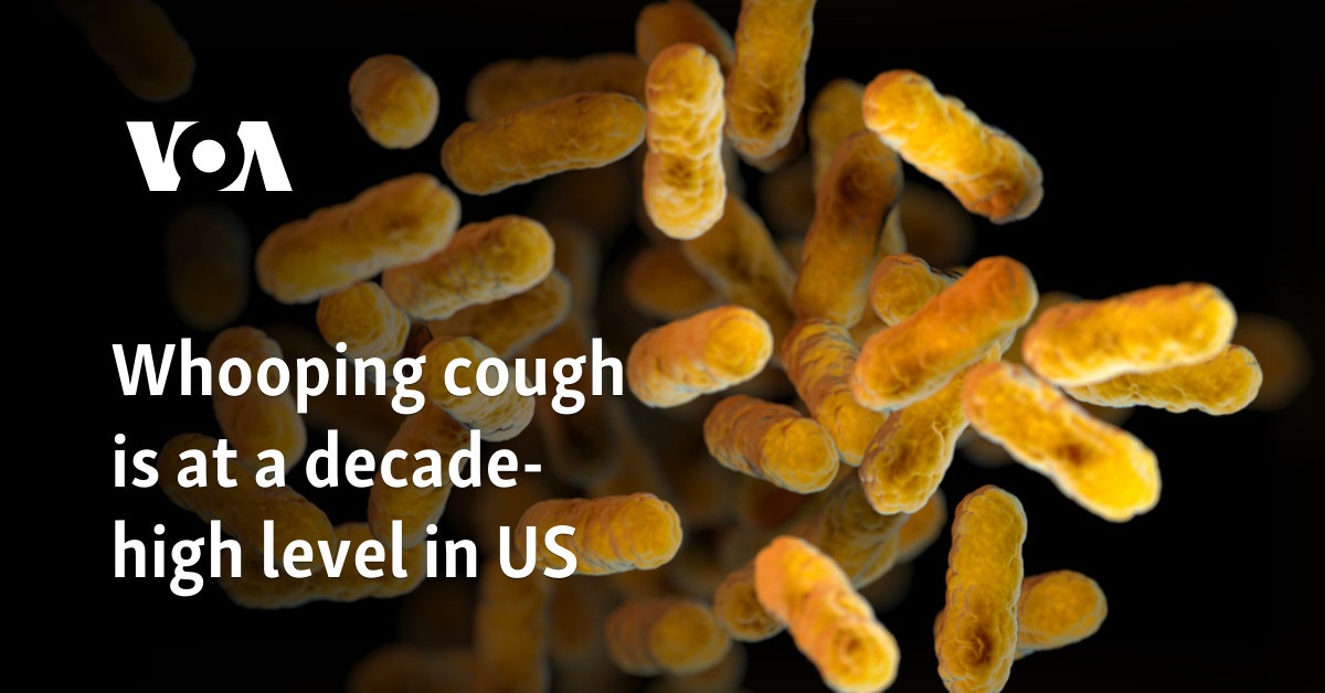 Whooping cough is at a decade-high level in US