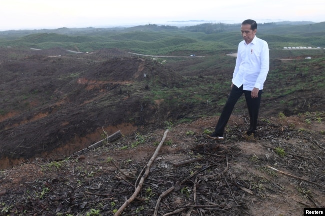 Presiden Joko Widodo meninjau lokasi ibu kota Indonesia yang baru di kecamatan Sepaku, Kabupaten Penajam Paser Utara, Kalimantan Timur, 17 Desember 2019. (Foto: Antara via Reuters)