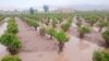 A flooded Iranian farm can be seen in this photo published by Tehran newspaper Hamshahri as part of a March 29, 2019, report on recent nationwide flooding in Iran.