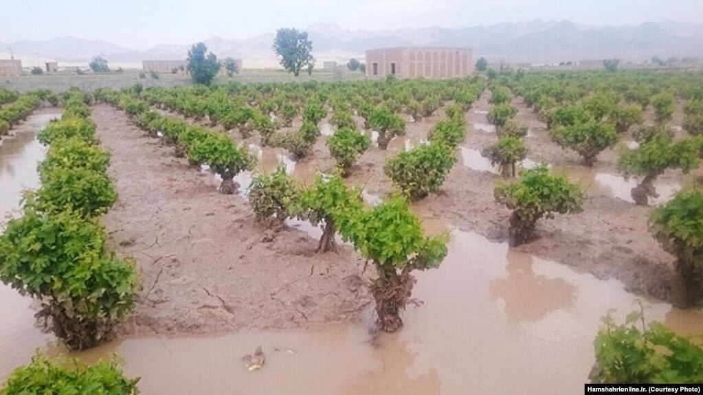 Lahan pertanian di Iran yang tergenang banjir dalam foto yang dirilis oleh koran Hamshahri, 29 Maret 2019.