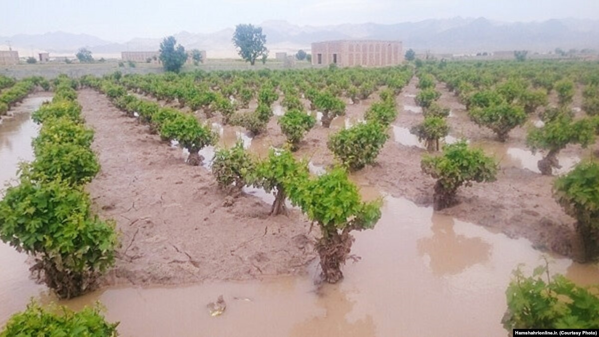 Akibat Banjir, Pertanian Iran Alami Kerugian $180 Juta