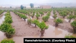 A flooded Iranian farm can be seen in this photo published by Tehran newspaper Hamshahri as part of a March 29, 2019, report on recent nationwide flooding in Iran.