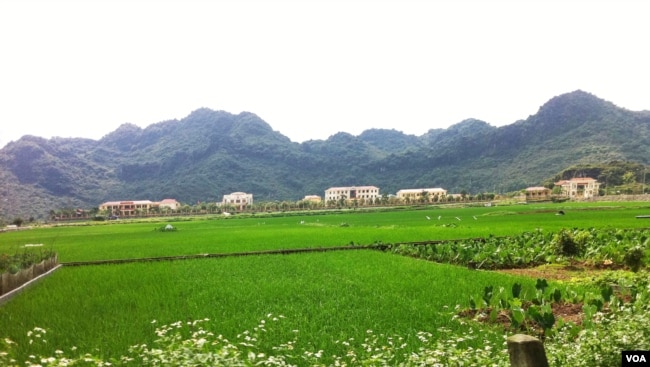 Trại tù Ba Sao Hà-Nam-Ninh, Miền Bắc Việt Nam