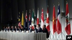 資料照：“跨太平洋夥伴全面進步協定”（CPTPP）各方代表舉行聯合記者會。 （2019年1月19日）