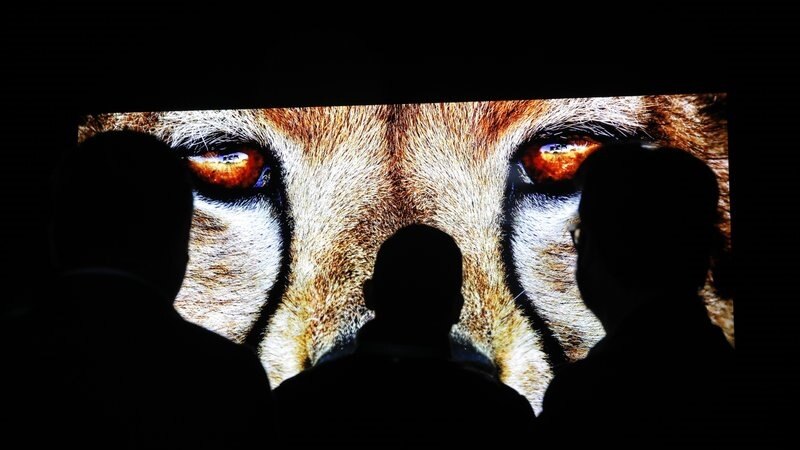 CES Technology Event Will Take Place Online