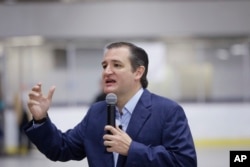 FILE - Republican presidential candidate, Senator Ted Cruz, addresses supporters at Kalamazoo Wings stadium, in Kalamazoo, Michigan, Oct. 5, 2015.