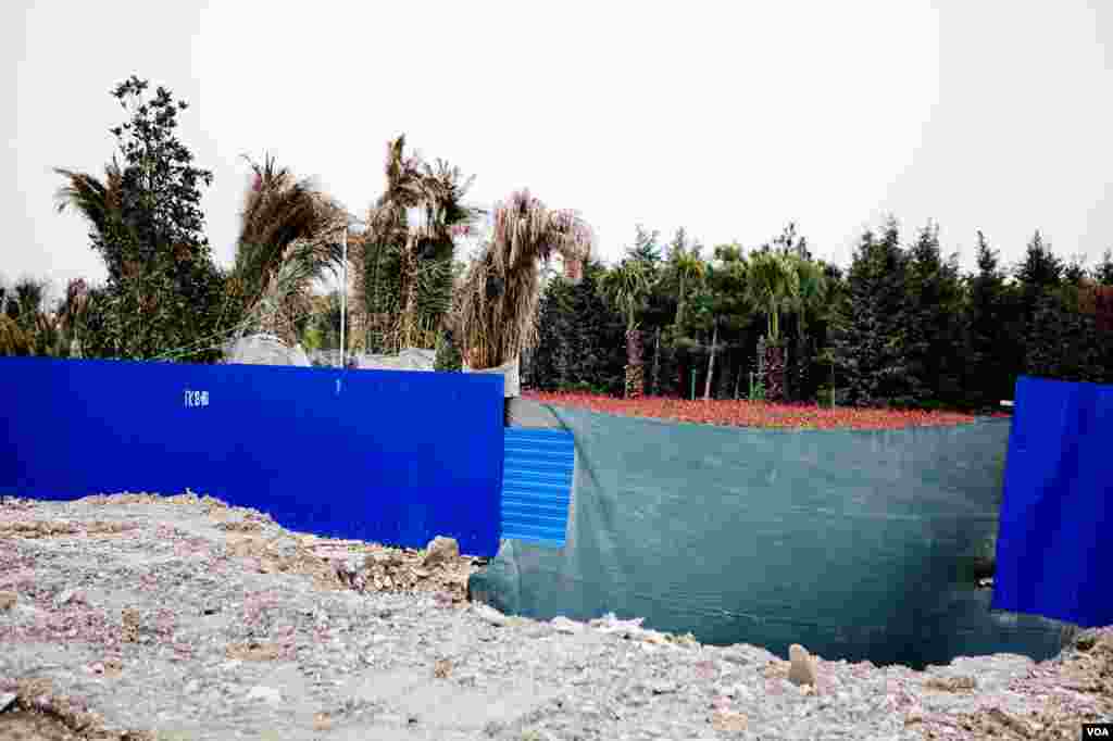 Subtropical plants acclimate in a nursery in preparation for massive landscaping planned for the months prior to the Olympics, Sochi, Russia, March 15, 2013. (V. Undritz/VOA) 