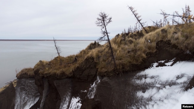 Trees lean precariously at Duvanny Yar, southwest of the town of Chersky, Sakha (Yakutia) Republic, Russia, September 12, 2021. (REUTERS/Maxim Shemetov)