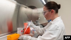 Bác sĩ Rhonda Flores làm việc tại phòng thí nghiệm Novavax ở Rockville, Maryland, một trong các phòng thí nghiệm đang phát triển vắc-xin chống COVID-19. Ảnh chụp ngày 20/3/2020. (Photo by ANDREW CABALLERO-REYNOLDS / AFP)