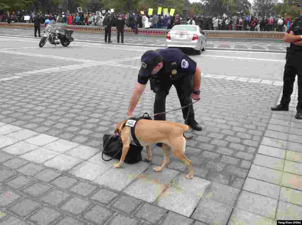 国会前保安措施严格 警犬在用鼻子尽职地检查记者的包(美国之音杨晨拍摄)