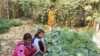 Growing Runner Beans to Avert Child Marriage, Trafficking in Eastern India