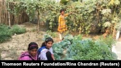 FILE - Young girls pose as they tend to vegetables they are growing as part of the Girls’ Project that teaches land literacy and helps prevent trafficking and early marriage in Charmahatpur village in West Bengal state, India, Feb. 13, 2017. 