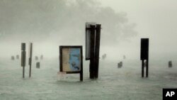 Flood waters rise around signs at the Haulover Marine Center at Haulover Park as Hurricane Irma passes by, Sept. 10, 2017, in North Miami Beach, Florida.