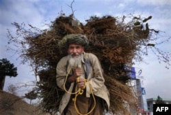 So’rov: Afg’on xalqi Tolibondan aynib, hukumatga ishona boshlagan