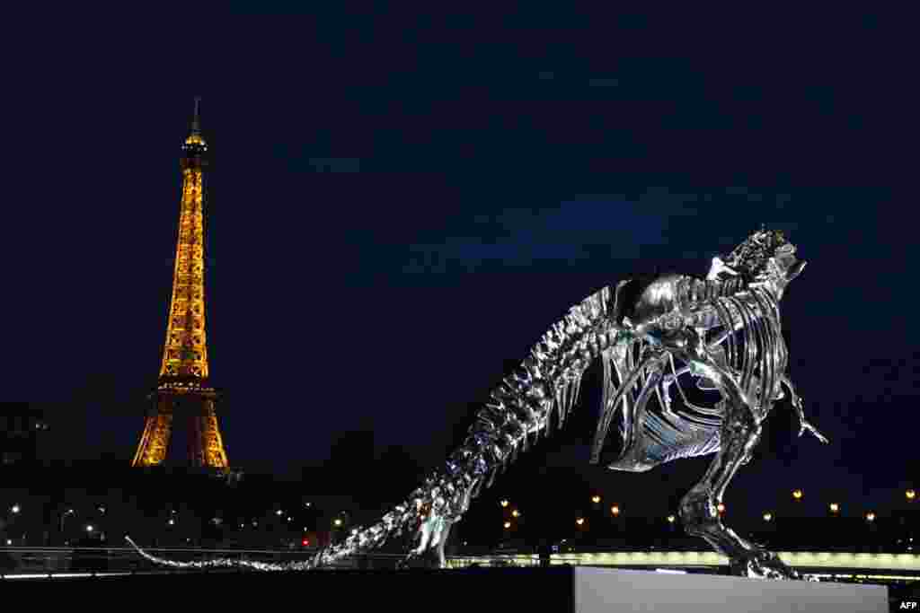 A giant chrome brushed aluminium skeleton of a Tyrannosaurus Rex dinosaur, made by French sculptor and painter Philippe Pasqua, stands at the pier of riverboat company Bateaux-Mouches in Paris, France.