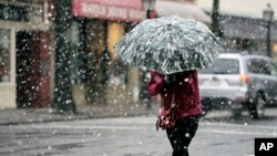 A woman crosses a street in the falling snow in the historic Old Town Alexandria, Virginia, March 6, 2013.