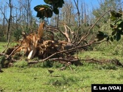 Marianna, Florida, is 90 kilometers from where Hurricane Michael made landfall, but it still suffered damage.